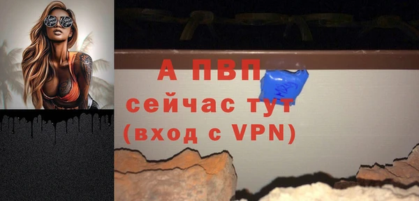 амф Каменка