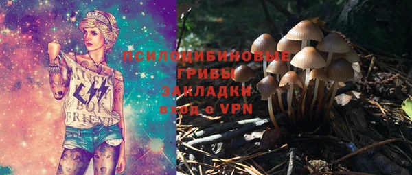 амф Каменка