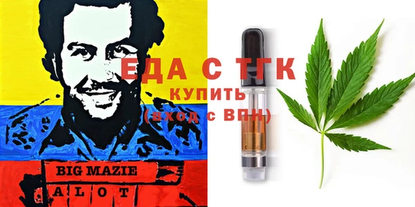 амф Каменка