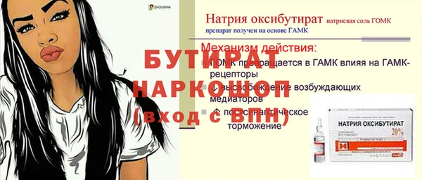 амф Каменка