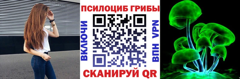 omg ссылки Козьмодемьянск Галлюциногенные грибы мицелий