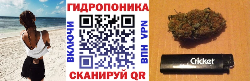 Конопля Bruce Banner  как найти наркотики  Козьмодемьянск 